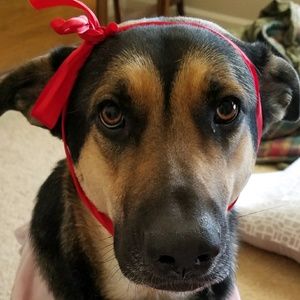 Meet your Posher, Patricia